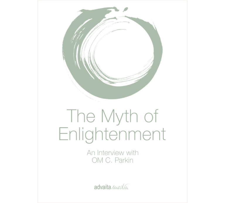 Buch von advaitamedia An Interview with OM C. Parkin